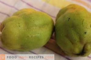 Quince: the benefits and harm