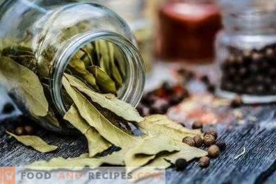 How to store bay leaves