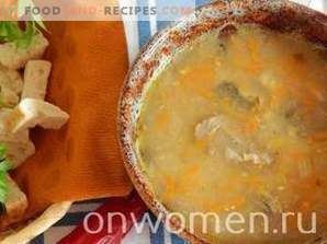 Canned mackerel soup in a slow cooker