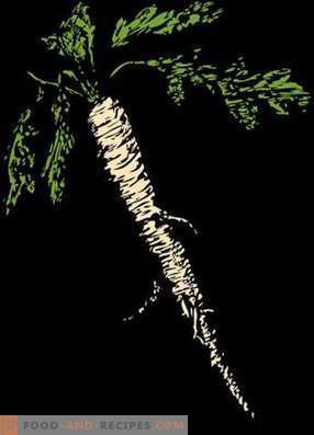 Horseradish: health benefits and harm
