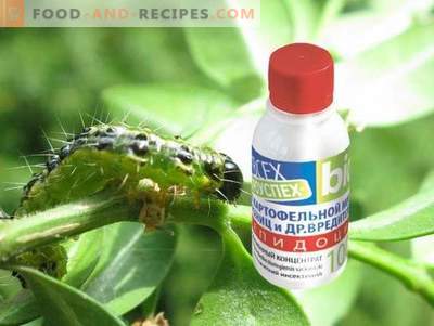 Lepidocide is an effective drug against leaf-eating pests