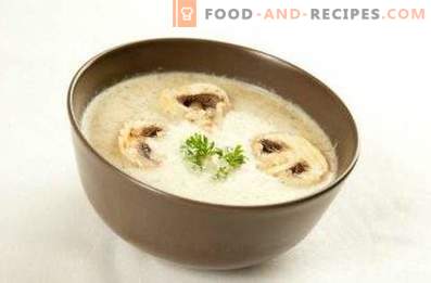 Cream of champignons and melted cheese