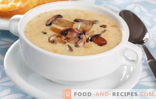 Mushroom cream soup - the madness of tastes and aromas! A selection of recipes for a variety of mushroom cream soups for every day