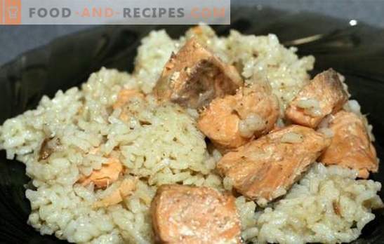 Pink salmon with rice is a tasty and affordable dish. How to cook pink salmon with rice in various ways with fantasy and fiction