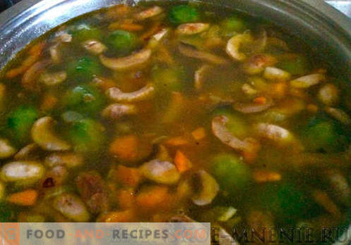 Mushroom soup - a recipe with photos and step by step description