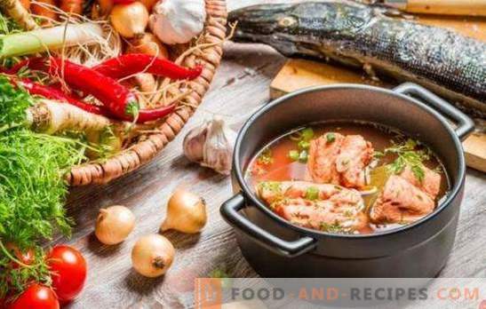 Red fish soup - excellent taste and maximum benefit. A selection of the best recipes of red fish soup with millet, tomatoes, red caviar