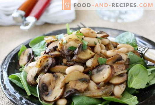 Salad with fried mushrooms - a selection of the best recipes. How to properly and tasty to cook a salad with fried mushrooms.