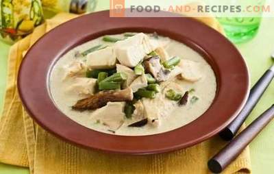 Fricassee in a creamy sauce is a simple dish of French cooking. Cooking options for fricassee in a creamy sauce with mushrooms, vegetables and cheese