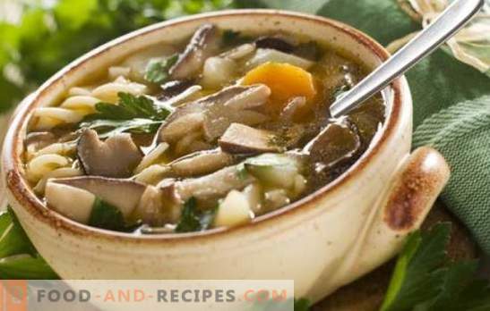 Mushroom soup with porcini mushrooms - the most favorite! Recipes of mushroom soup with porcini: with cream, pasta, barley, bacon