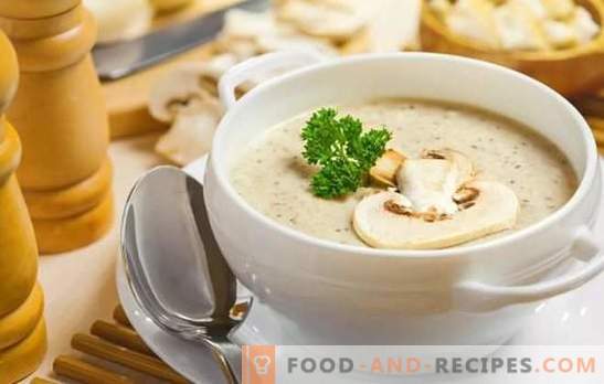 Fragrant champignon soups: step-by-step recipes. Prepare a simple filling and European cream soup of champignons (step by step)