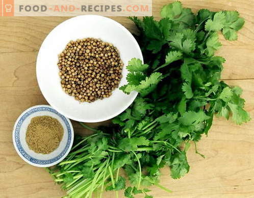 Coriander - description, properties, use in cooking. Recipes with coriander.