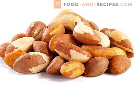 Brazil nut - description, useful properties, use in cooking. Recipes with Brazil nuts.