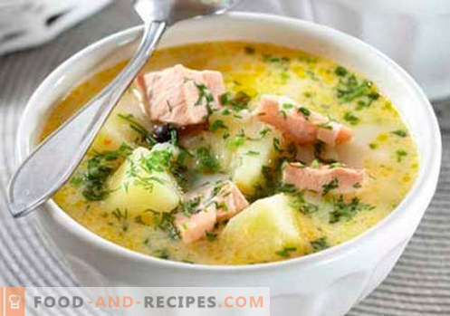 Salmon soup - the best recipes. How to properly and tasty cook salmon soup.