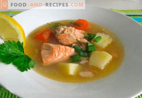 Salmon soup - the best recipes. How to properly and tasty cook salmon soup.