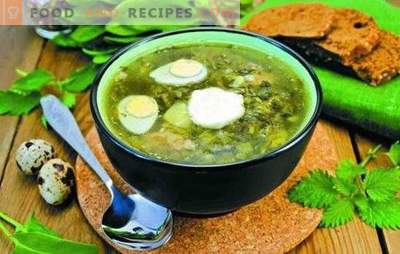 Sorrel soup - quick, fresh, tasty. Simple recipes for sorrel soup without meat, on bone broth, with brisket, on cream