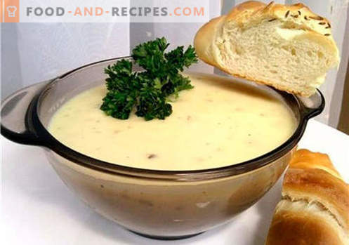 Creamy soup - proven recipes. How to properly and deliciously make a creamy soup.