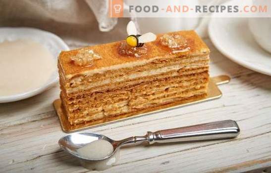 How to easily cook a delicious honey cake with condensed milk. Classic and original recipes for honey cakes with condensed milk