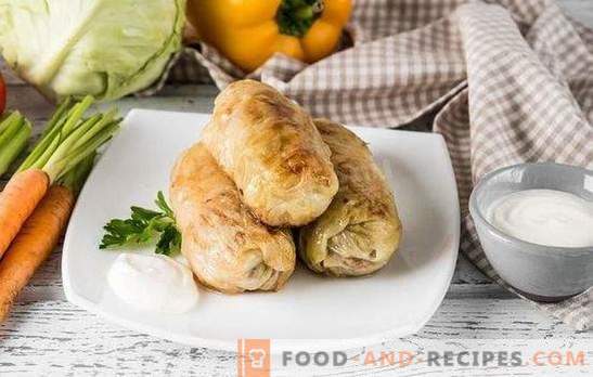 Why stuffed cabbage does not work: major errors