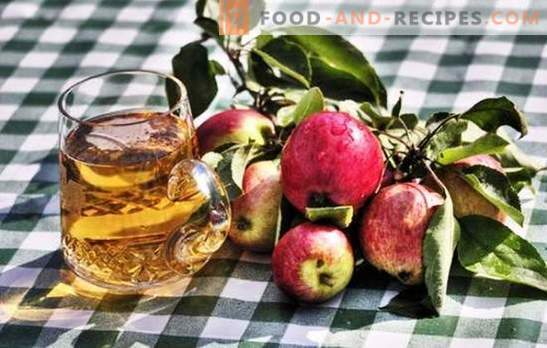 Making homemade apple cider - natural product! How to prepare raw materials for apple cider at home
