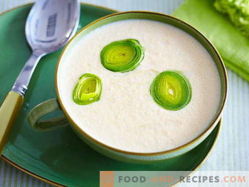 Celery soup - the best recipes. How to properly and tasty cook celery soup.