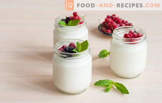 How to make yogurt at home: technology. Yogurt recipes at home: in a yogurt maker, thermos, saucepan