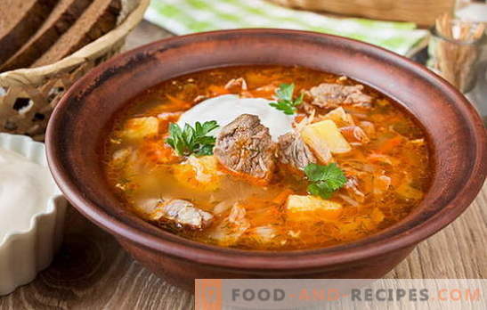 Fresh cabbage soup - 10 best recipes. Versions of cabbage soup with beef, chicken, pork, smoked meat, beans