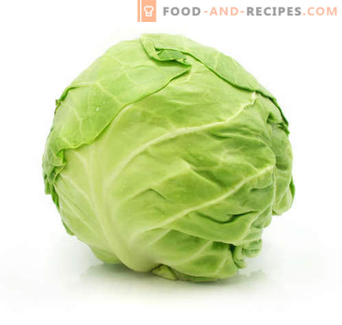Cabbage rolls are the best recipes. How to properly and tasty cook cabbage rolls