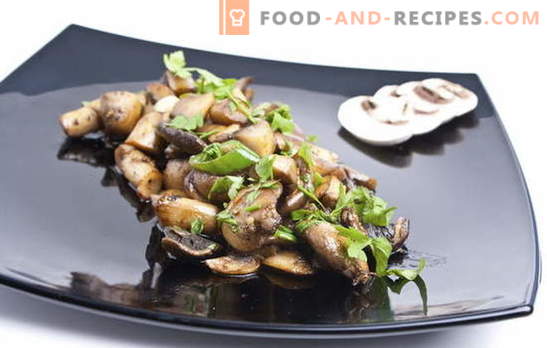 Recipe for fried champignons. How to fry champignons: with or without onions - proper preparation, processing and cooking