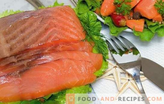 Salmon salmon at home: affordable delicacy! Recipes salty pink salmon and the secrets of salting it at home