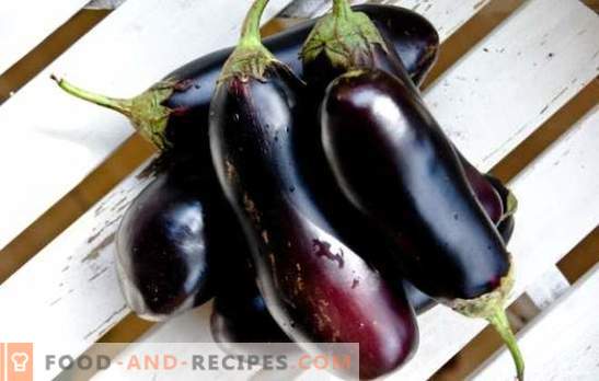 Frozen eggplants for the winter: baked, fried, blanched. How to freeze eggplants for the winter whole and in the form of cutting