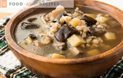 Mushroom soup of frozen mushrooms - the aroma of autumn! The best recipes of mushroom soup from frozen mushrooms