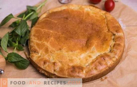 A quick mayonnaise pie is a real wand! Recipes quick pies for mayonnaise with cabbage, fish, potatoes, rice