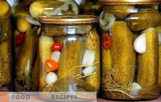 Cucumber pickling is a tradition passing from generation to generation. How to produce pickling cucumbers