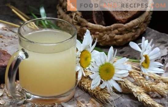 Oatmeal kvass - gives freshness, vigor, reduces weight! Kvass from oats at home: the benefits and harm to the body