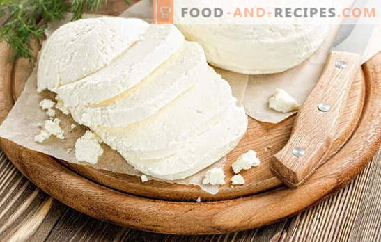 Adyghe cheese at home: delicious under any name! Recipes for homemade Adygei cheese