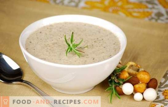 Mushroom cream soup - popular recipes. How to make mushroom cream soup in a slow cooker, with cream or with cheese