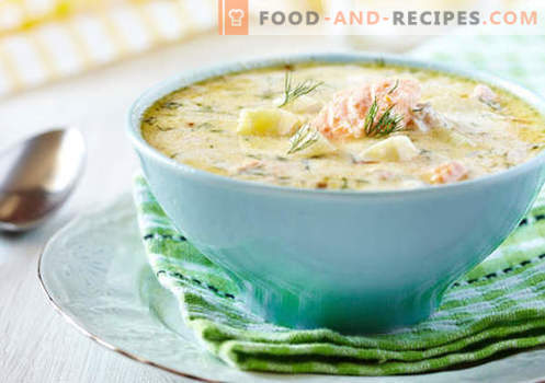 Cream soup - proven recipes. How to properly and tasty cook soup with cream.