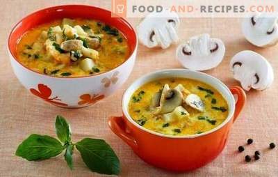 Soup with champignons and cheese - pamper your family! A selection of the best recipes for soup with champignons and melted cheese