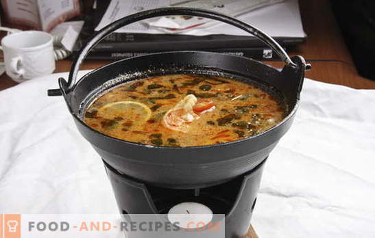 Thai soup is exotic in your kitchen. Recipes for Thai soups with beef, fish, chicken, seafood, vegetables and mushrooms