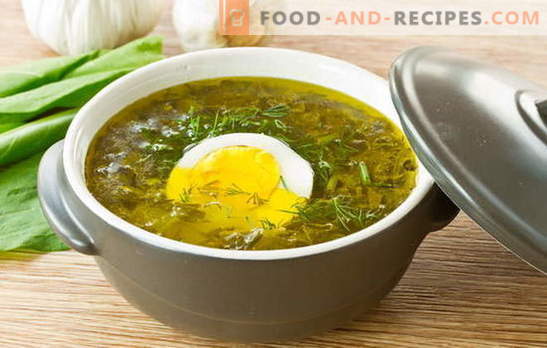 Sorrel soup - summer mood charge! Recipes for oxalic soup with egg, meatballs, rice, chicken, stew