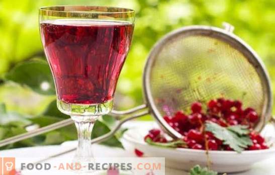 Red currant wine: the main stages of making fruit wines. Recipes for homemade red currant wines
