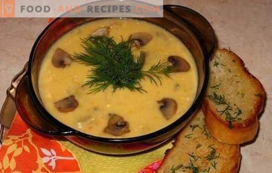 Cheese soup with mushrooms - gently, tasty, satisfying. Recipes best cheese soups with mushrooms and chicken, vegetables and smoked