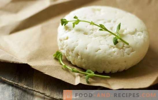 How to make goat cheese at home: simple recipes. How to make goat cheese: recommendations