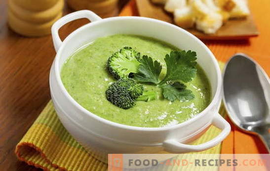 Broccoli cream soup: recipes for diet and basic nutrition. Variety of recipes for cream - soup from simple to complex broccoli