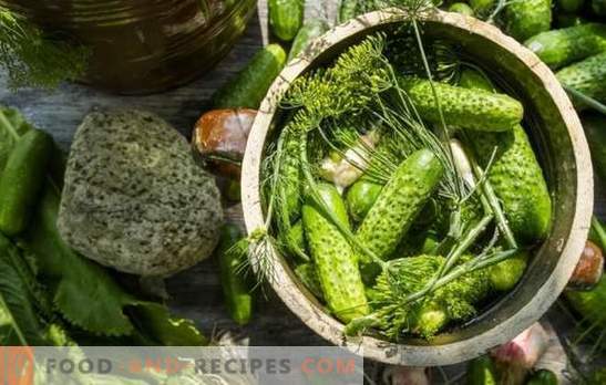 Familiar and such different salted cucumbers: with vodka, juice, mineral water. The best recipes for crisp salted cucumbers for every taste