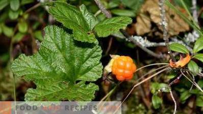 How to store cloudberries