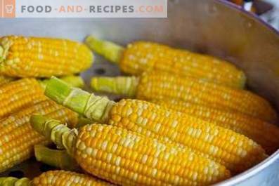 Corn: health benefits and harm
