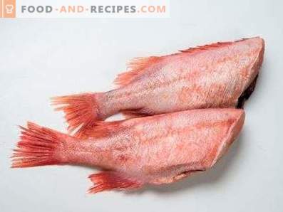 Sea Bass: Benefit and Harm