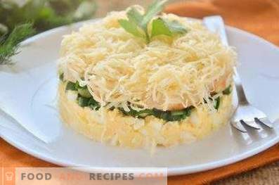 Layered salad with chicken, egg and green onions