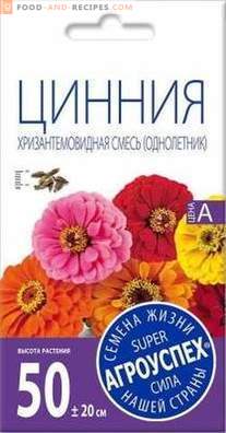 Zinnia - the best varieties and cultivation features